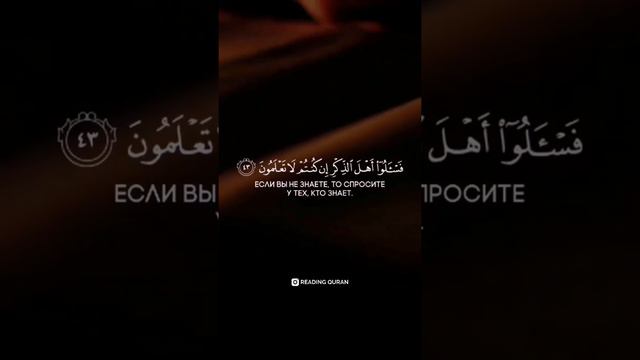 Коран Сура 16 «Пчёлы», аят 43.Чтец: Мухаммад Нак'иб смотреть онлайн