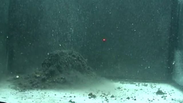 Sensas 3000 Super Black Feeder смотреть онлайн