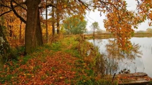 Чешуин Андрей Тонкая рябина песня под гармонь смотреть онлайн