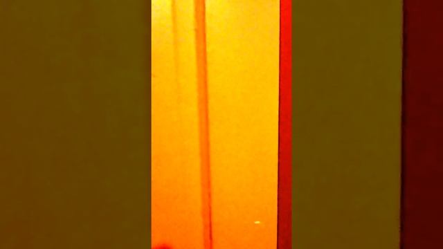 The next American idol star #epicfail смотреть онлайн