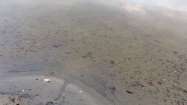 Белое Озеро в Косино (Москва) смотреть онлайн