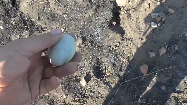 ОГРОМНАЯ МОНЕТА оттянула карман до земли! смотреть онлайн