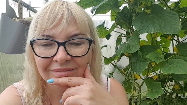 Как сохранить чеснок на зиму? Излишки продаю. Конец июля, томаты не краснеют. смотреть онлайн