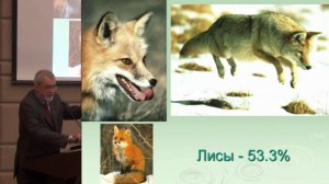 Никифоров В.В. Актуальные вопросы бешенства | Бешенство, симптомы бешенства, признаки бешенства