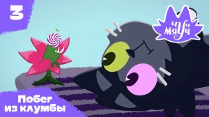 Чуч-Мяуч – 3 серия – Побег из клумбы – Союзмультфильм HD
