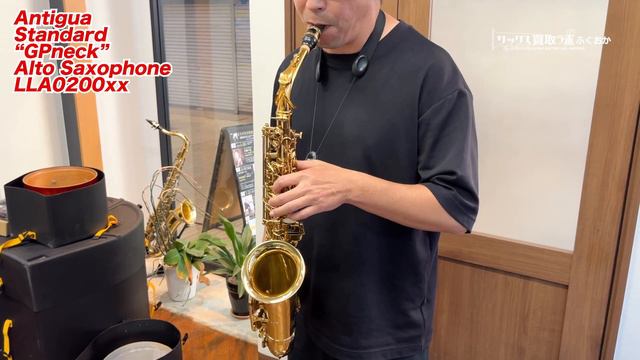 【GPネック】アンティグア スタンダードモデル Anrigua Standard GPneck 中古 アルトサックス LLA020049_ смотреть онлайн