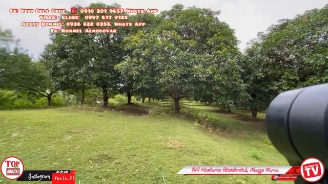 3.4 Has Residential, Mango, Spanish Plum, Java Plum Farm Lot for Sale, More or Less 400 Mtr Frontag смотреть онлайн