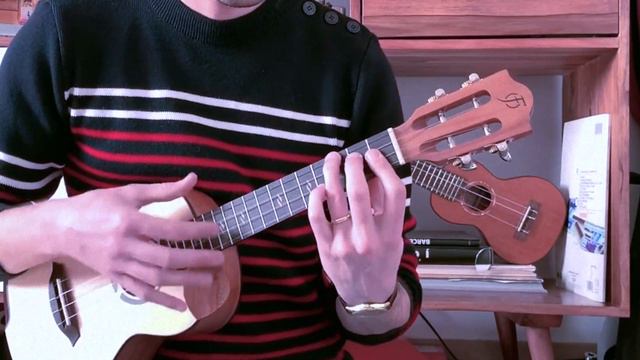 Paranoid Android (Radiohead) - ukulele solo - short cover - Victoria tenor смотреть онлайн