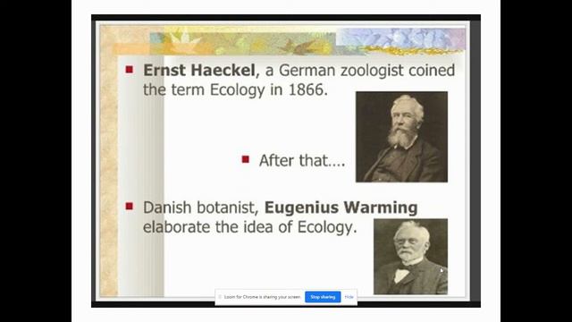 7. ecology смотреть онлайн