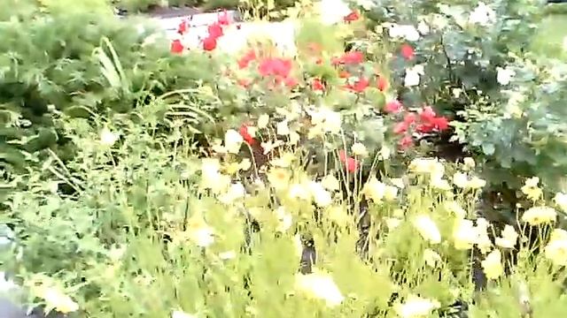 Flowerbed 1 (Клумба 1) смотреть онлайн