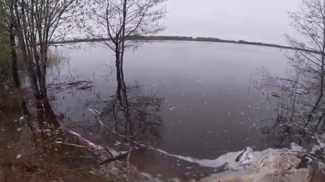 Супер клев крупной густеры! смотреть онлайн