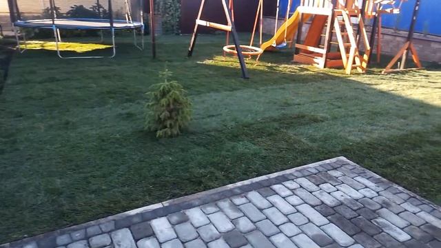 Устройство рулонного газона в г.Ульяновск смотреть онлайн