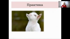 Генетика с нуля. Наследование групп крови. Задачи по генетике