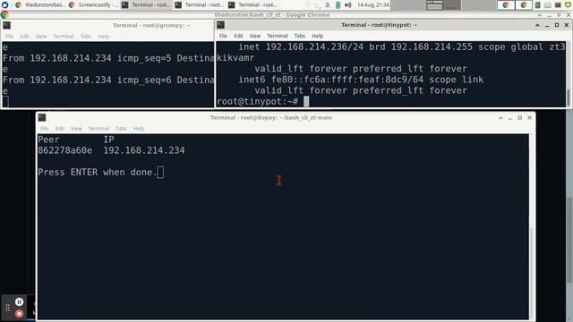 Bash Cli ZT for self-hosted ZeroTier controllers смотреть онлайн