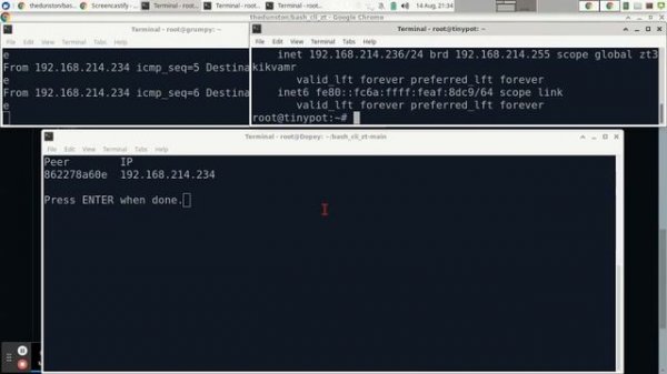 Bash Cli ZT for self-hosted ZeroTier controllers