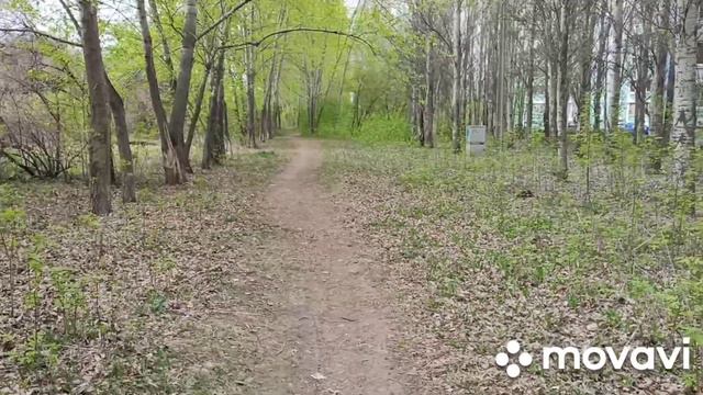 С УТРА ПО МУСОРНИКАМ.ЛУЧШЕ БЫ В ЛЕС НЕ ХОДИЛИ. смотреть онлайн