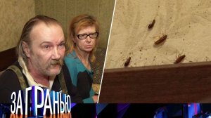 «За гранью»: «Миллионы за тараканов» | Выпуск от 1 ноября 2022 года