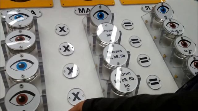 Поход в экспериментус смотреть онлайн