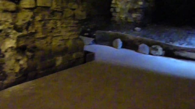 Magnaura Palace, Great Palace of Constantinople Ep.1, Istanbul ?? #istanbul #sultanahmet #bizans смотреть онлайн