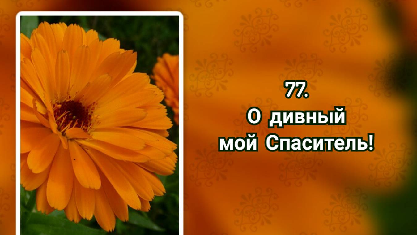 Гимны надежды 77 О дивный мой Спаситель (-) смотреть онлайн