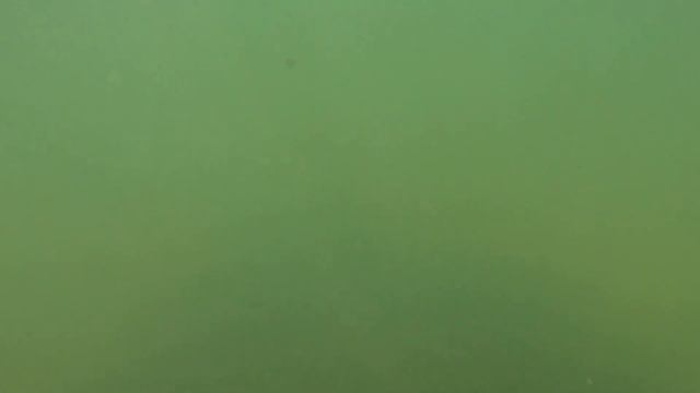 Влог Гуляем по Тамани Купаюсь в море смотреть онлайн