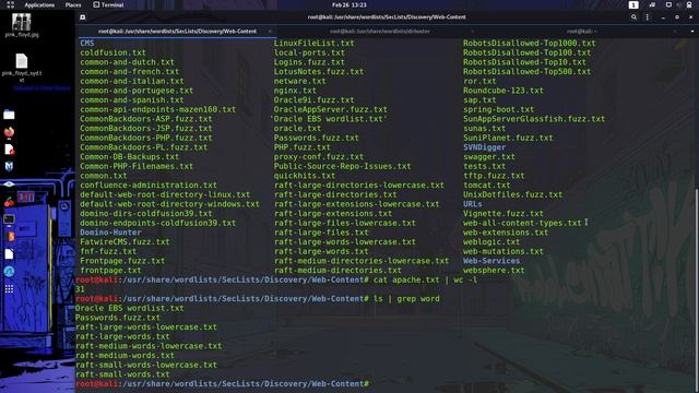 Hacking Tool - Directory Busting with GoBuster смотреть онлайн