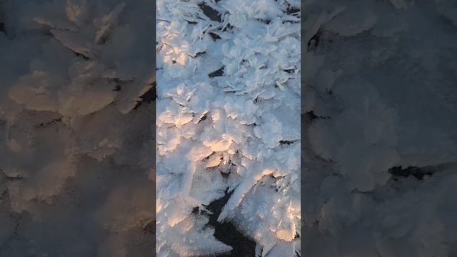 ледяные лилии #алтай #земля #тайга #река #горы #природа #здоровье #лес #жизнь #красота смотреть онлайн
