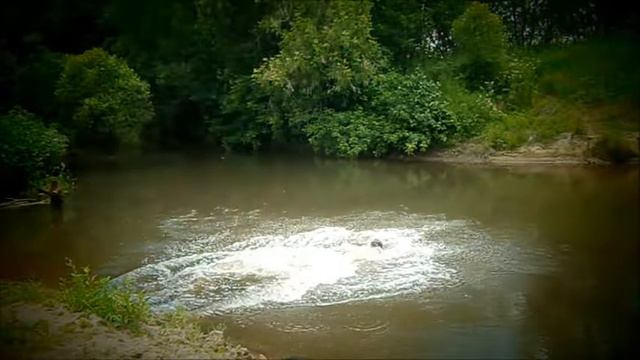 Прикол.Решили помыться!!! смотреть онлайн