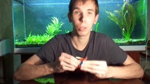 Как Сделать самому СО2 систему для аквариумных растений Подача углекислого газа в аквариум