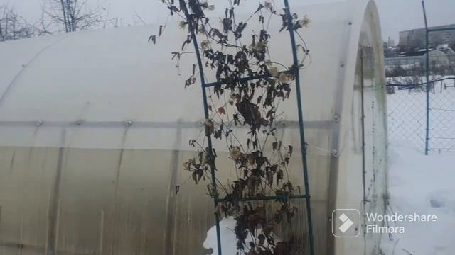 133. На дачу в январе пешком. До весны 31 день. смотреть онлайн