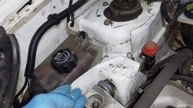 #61 Dzień z Warsztatu WYMIANA LUSTERKA FORD FIESTA 2019r. ,CITROEN BERLINGO ZDRUTOWANY, BMW SERII 1 смотреть онлайн