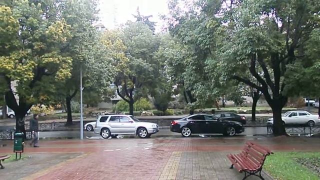 Камфорный лавр - "лёгкие" Лазаревского, погода 23 января 2014 г. Дожди смотреть онлайн