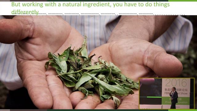 FBIF2016 Jordi Ferre：Ingredient Innovation Lessons from Mainstreaming Stevia смотреть онлайн