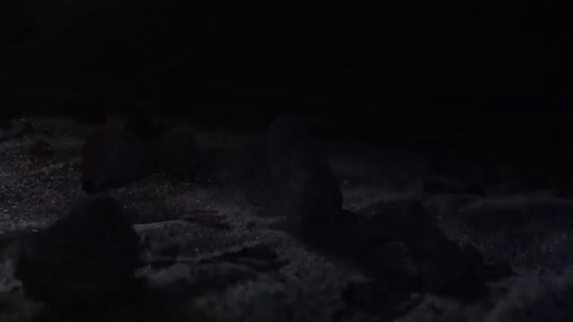 Бесполезный SSD Xbox Series X|S | Не храни игры на SSD консоли | Обратная совместимость Xbox Series смотреть онлайн