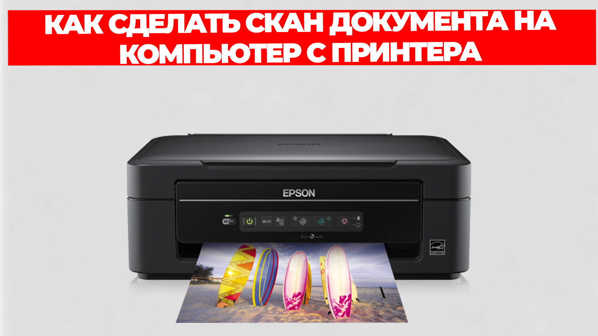 Всезнающий Енот