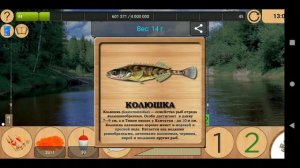 Как поймать Колюшку на Лесной реке [NEW] | Реальная Рыбалка