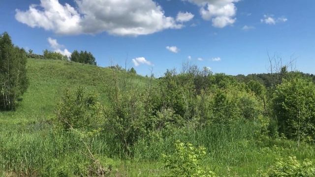 Пригород Новосибирска. Природа, лес озеро птицы. Новосибирская область. Russia Novosibirsk nature. смотреть онлайн