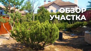 Ландшафтный дизайн. Обзор объекта в поселке Гринфилд #ландшафтныйдизайн