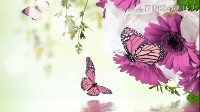 Близнецовое Пламя или контракт с темными #контракт_с_темными# смотреть онлайн