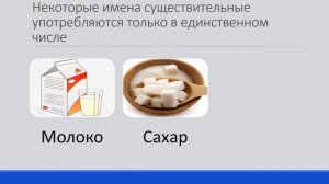 Число имен существительных