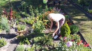 Самые красивые клумбы перед домом на моей даче