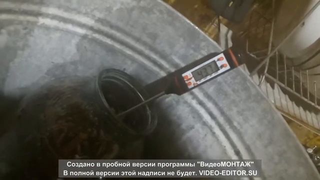Зимние опята в квартире - безумный эксперимент. смотреть онлайн