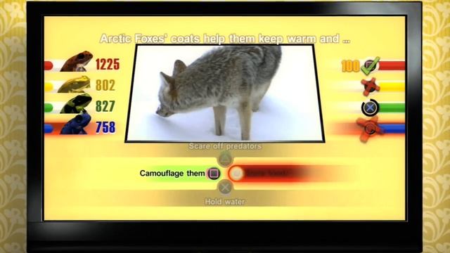 AFJV : NatGeo Quiz! Wild Life смотреть онлайн