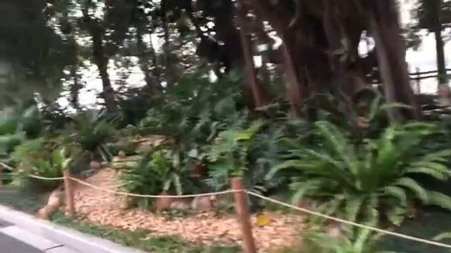 Гуанчжоу- город цветов. смотреть онлайн