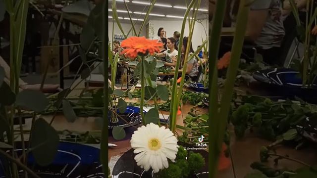 Сегодня день Японии в Любляне очень понравился. Поели японскую еду, попили сакэ и т.д. #япония смотреть онлайн