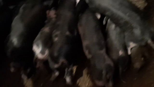 Все наши новости. Потери и приобретения.