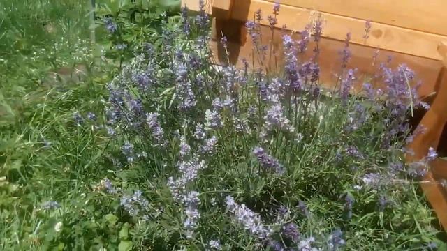 Музыкальная Импровизация