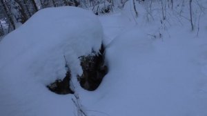Поход в лес с ночёвкой,быт в избушке Ч.2.(Hiking in the forest with an overnight stay)