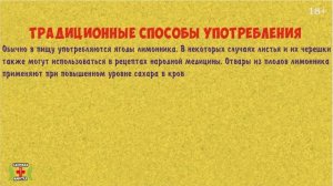 Лимонник китайский. Полезные свойства лимонника. Способы употребления и применение