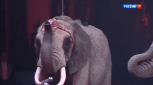 Музыка в цирке видеоурок 1 класс